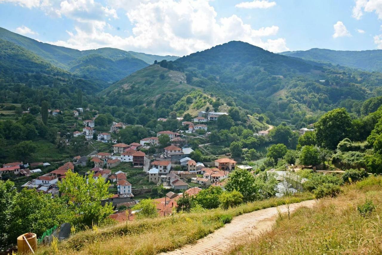 Traditional Stone Villa "To Petrino" Florina Exterior foto