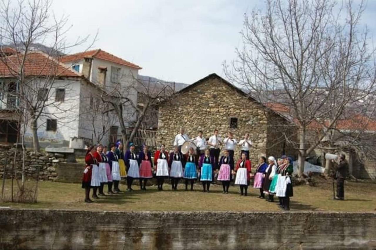 Traditional Stone Villa "To Petrino" Florina Exterior foto